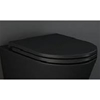 RAK Ceramics Feeling Soft Close Toilet Seat & Cover - Matt Black