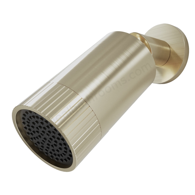 Scudo Core Spotlight Shower Head - Brushed Brass