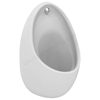 Armitage Shanks Contour 67cm Urinal Bowl, Concealed