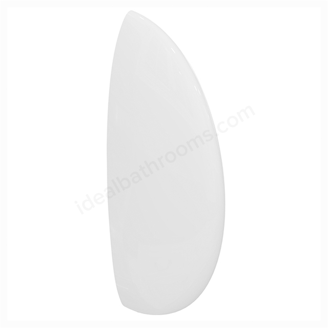 Armitage Shanks Urinal Division with Screw and Hanger, White